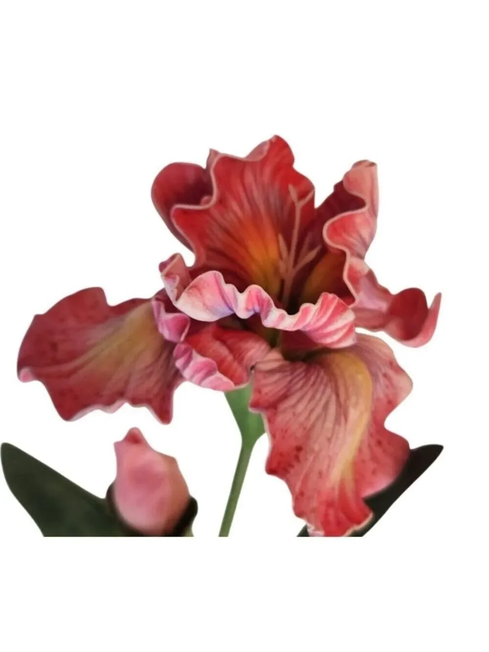 Artificial Iris Flower 33 Inch Tall Pink Faux Iris Stem Hand Painted Look Floral
